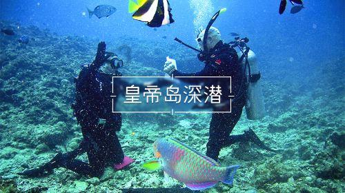 投篮得高分
