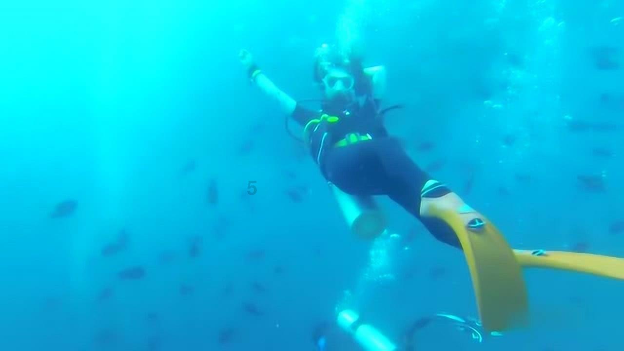 快手本地生活 酒旅观察