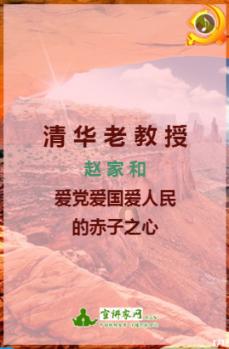 可爱小猫向上跳